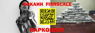 2c-b Кингисепп