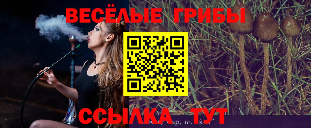 купить наркоту  Псилоцибиновые грибы мицелий  Вход с VPN  Шебекино 