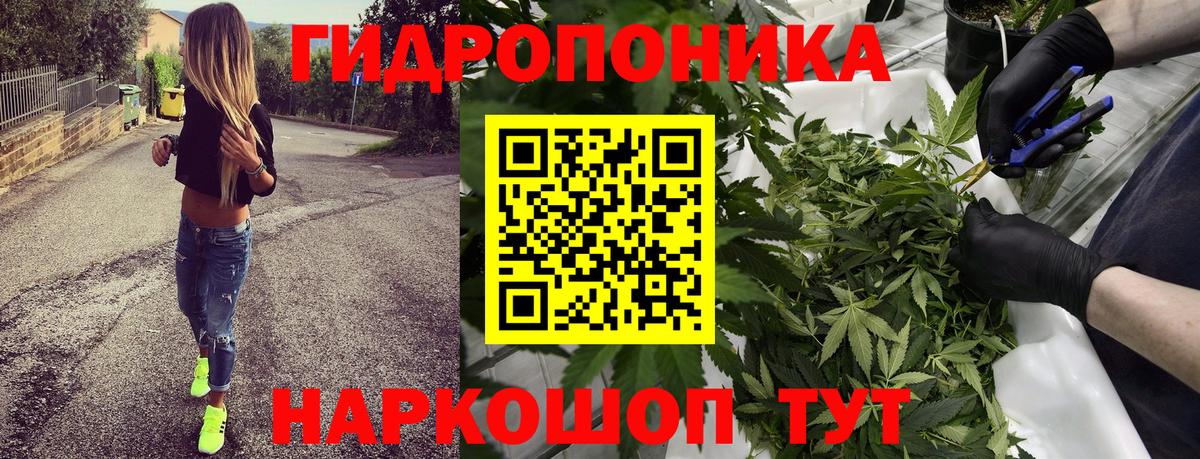 Канабис сатива  Канабис ГИДРОПОН  Шебекино  Конопля LSD WEED  Вход с VPN 